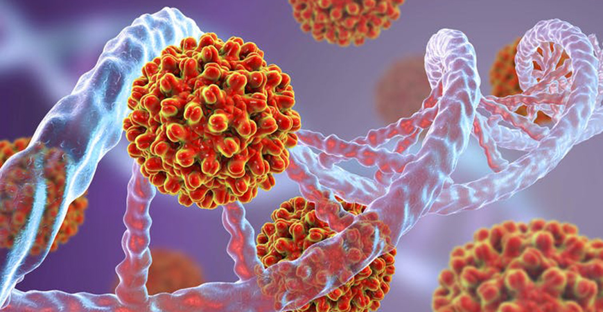 Gene-based vaccines are unproven, but offer effective protection and ease of production. KATERYNA KON/SCIENCE